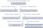 Figure 4 : Algorithm for staging and treatment of advanced cancers. Unfortunately we are unable to provide accessible alternative text for this. If you require assistance to access this image, or to obtain a text description, please contact npg@nature.com
