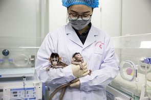 China: Engineering a biomedical revolution