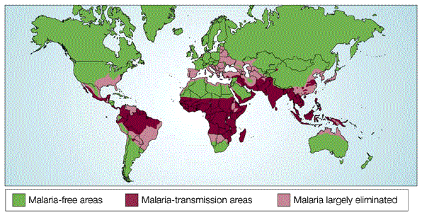 malaria worldwide