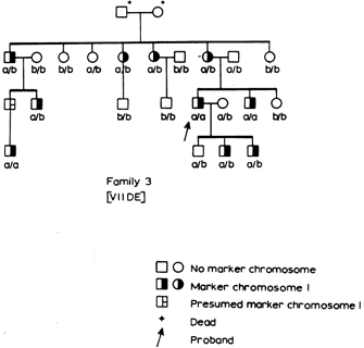 A pedigree diagram shows genotypes at the Duffy blood group locus and the Un element statuses of four generations of individuals from one family.