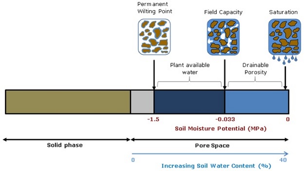 Water content and water potential at saturation, field capacity and permanent wilting point.