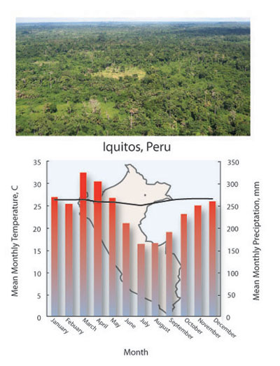 Tropical forest biome climate diagram