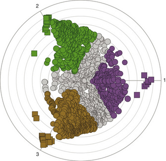 A radial plot shows three distinct transcription profiles of <i>Plasmodium falciparum</i> that correspond to transcription profiles that were experimentally defined in yeast. The plot shows three, color-coded clusters of many circles, with each circle representing a microarray experiment in yeast. The three Plasmodium falciparum clusters were associated with distinct sets of yeast responses, with the green cluster representing glycolytic growth, the purple cluster representing a starvation response, and the brown cluster representing an environmental stress response.