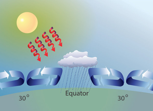 Cycle of evaporation, condensation, and precipitation