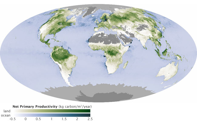 The global distribution of land and ocean net primary production (NPP) estimated from spectral data gathered by NASA's MODIS satellite