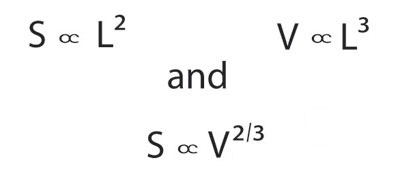 Martinez Equation v2