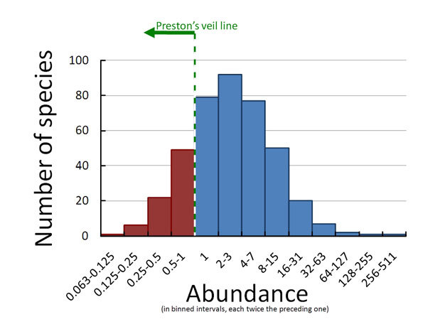 Species abundance distributions on a log-normal scale