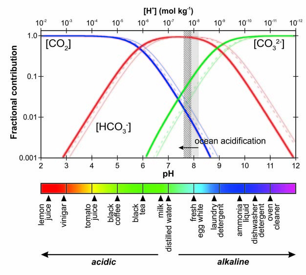 How ocean carbonate chemistry and pH are related.