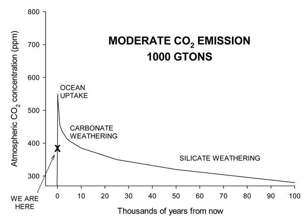 Airborne carbon dioxide concentrations in a moderate emissions scenario.