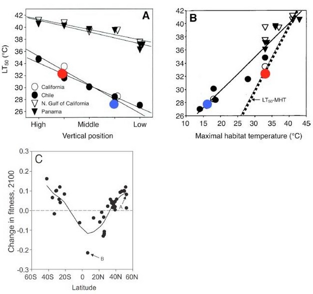 Thermal tolerance relationships of ectotherms from latitudinal and intertidal zone thermal gradients.