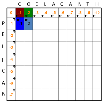 A grid diagram shows the alignment matrix of the words Coelacanth along the top of the grid and Pelican down the left side of the grid. The top row of boxes is filled with numbers from 0 to -10. Each box except the first box contains a left-pointing arrow. The box containing a -1 has been shaded brown, and the box containing a -2 has been shaded green. The left-most column of boxes is filled with numbers from 0 to -7. Each box except the top box contains an upward-pointing arrow. In the second row corresponding to the P from Pelican, the second box that intersects with C from Coelacanth is shaded dark blue and contains a -1 and an arrow pointing diagonally upward and to the left. In addition, the box that is formed from the intersection of O from Coelacanth and P from Pelican contains a -2 and an arrow pointing diagonally upward to the left. This box is shaded blue.