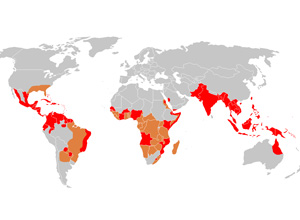 Image modified from Worldwide distribution of dengue in 2000, CDC