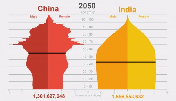 This graphic shows India's population overtaking China | News | Nature Index
