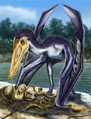 Pterosaur with 2 eggs?  Musings of a Clumsy Palaeontologist