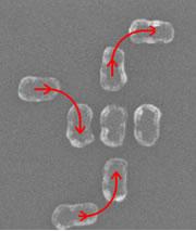 A cross of magnetic particles forms a gate, while three magnets outside tell the gate what to do.