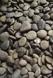 Mature pebbles stay the same basic 'shape' even as they get smaller with age.