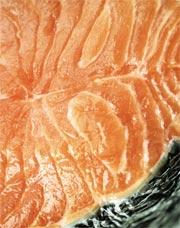 Salmon, like all seafood: predicted to collapse by 2048.