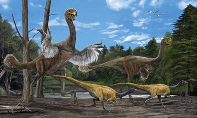 Giant bird-like dinosaur found : Nature News