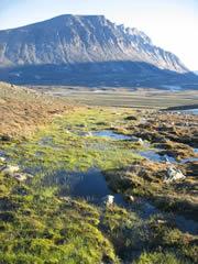 Spring thaw: melting snows trigger springtime behaviours.