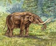 Mastodons survived in America until about 10,000 years ago.