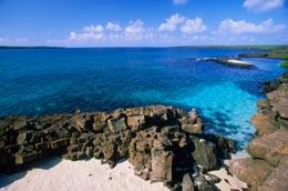 First swine flu death on the Galapagos : Nature News