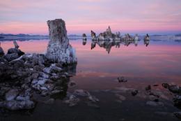 Mono Lake tufa towers