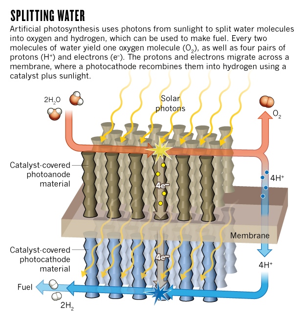 Solar Energy Springtime For The Artificial Leaf Nature