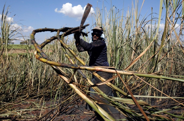 Growth Of Ethanol Fuel Stalls In Brazil Nature News Comment