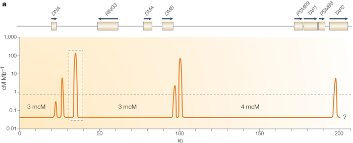 A graph showing recombination activity in a region of human DNA is shown below a schematic illustration of the DNA region. The illustration is aligned with the graph so that physical positions along the DNA correspond to peaks in the plot. The DNA is depicted as a horizontal black line. Labeled beige rectangles along the line represent different genes, including DNA, RING3, DMA, DMB, PSMB9, TAP1, PSMB8, and TAP2. All the genes have a blue rightward-pointing arrow above them, except RING3, which has a leftward-pointing arrow. In the graph, crossover activity is represented by an orange line; peaks in the line indicate increased activity. From left to right, there are two peaks in the DNA region, one peak between DNA and RING3, two peaks in the DMB region, and one peak in the TAP2 region.