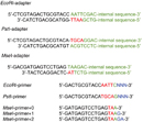 A diagram shows adapter and primer DNA sequences for three restriction enzymes: EcoR1, PST1, and MSE1.