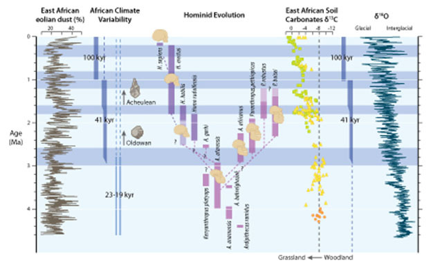 Summary diagram of important paleoclimatic and hominin evolution events during the Plio-Pleistocene.
