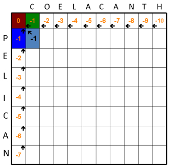 A grid diagram shows the alignment matrix of the words Coelacanth along the top of the grid and Pelican down the left side of the grid. The top row of boxes is filled with numbers from 0 to -10. Each box except the first box contains a left-pointing arrow. The box containing a zero has been shaded brown, and the box containing a -1 has been shaded green. The left-most column of boxes is filled with numbers from 0 to -7. Each box except the top box contains an upward-pointing arrow. The box containing a -1 has been shaded dark blue. In addition, the box that is formed from the intersection of C from Coelacanth and P from Pelican contains a -1 and an arrow pointing diagonally upward to the left. This box is shaded blue.